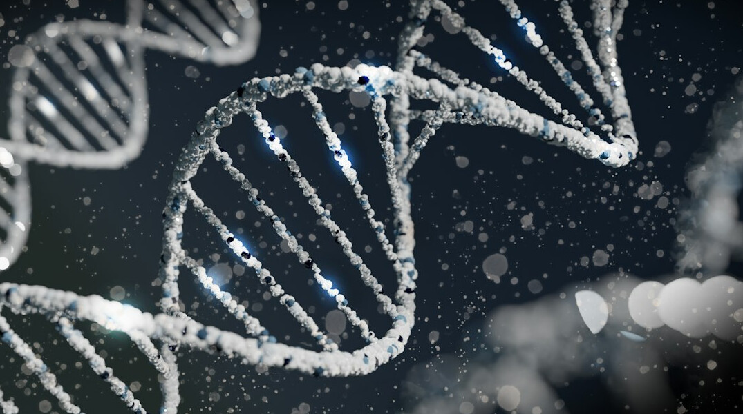 DNA lab analysis