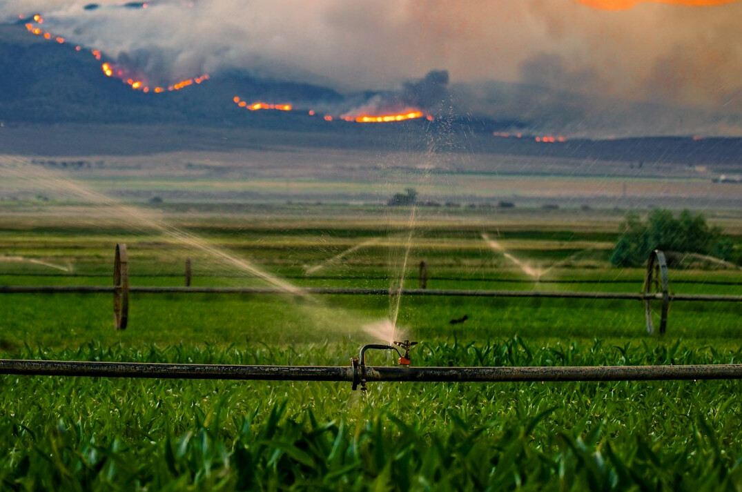 climate change effects